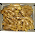 საჰაერო გამხმარი Ginger 300g და up Anqiu